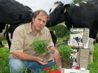 Бизнес-идея: органические горшки для рассады