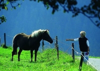 Деньги из чистого воздуха